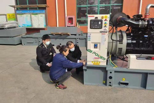 助力机电产品出口非洲，上海海关确保高效查检